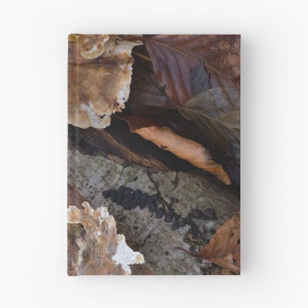 Item preview, Turkeytail Fungus on Fallen Log designed and sold by Sue Robinson.