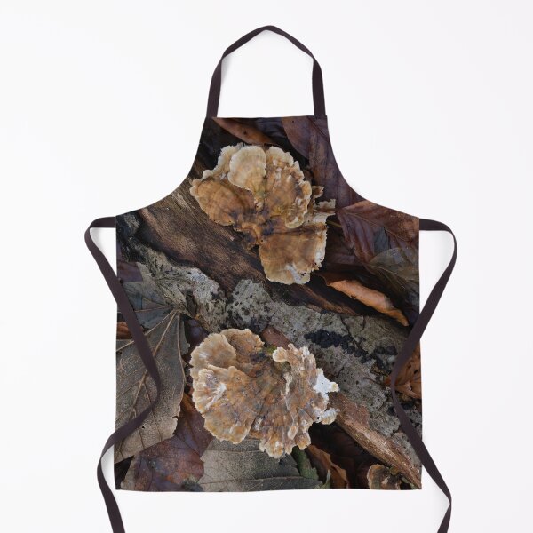 Item preview, Turkeytail Fungus on Fallen Log designed and sold by Sue Robinson.