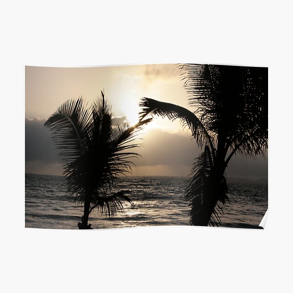 Palm Fronds Kiss at Dawn 2008 Poster