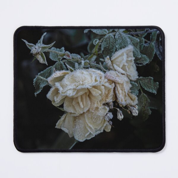 Item preview, Roses Covered in Frost designed and sold by Sue Robinson.