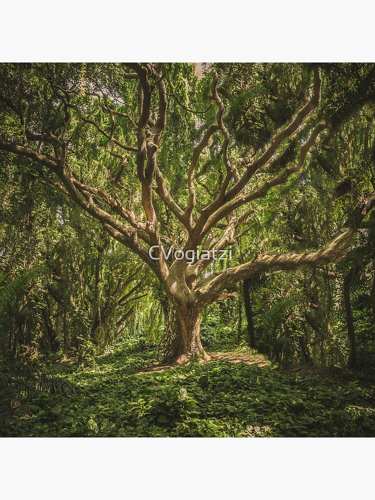 Spirits inside the wood by CVogiatzi