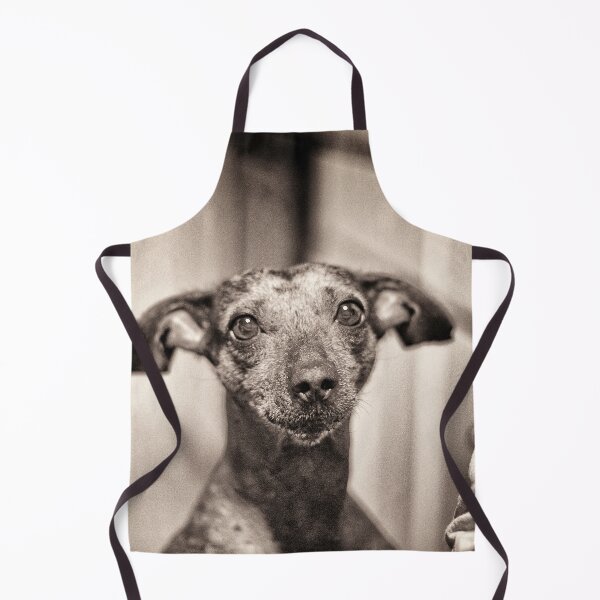 Item preview, Tequila designed and sold by Maxiverse.