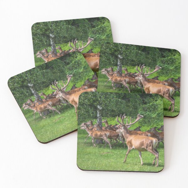 Item preview, A majestic red deer grazing in a meadow in summer designed and sold by AlbertMi.