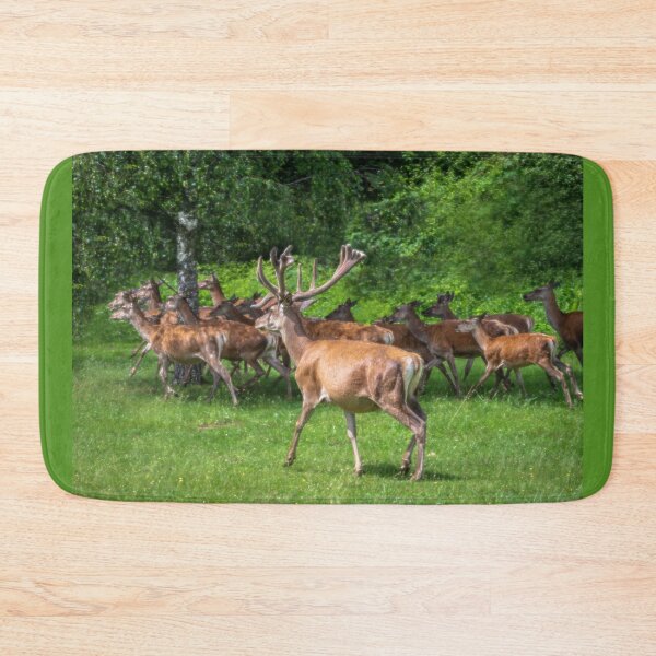 Item preview, A majestic red deer grazing in a meadow in summer designed and sold by AlbertMi.
