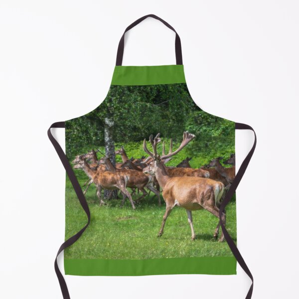 Item preview, A majestic red deer grazing in a meadow in summer designed and sold by AlbertMi.
