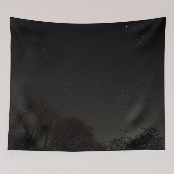 Item preview, Night Sky with Orion and Gemini Constellations designed and sold by Sue Robinson.