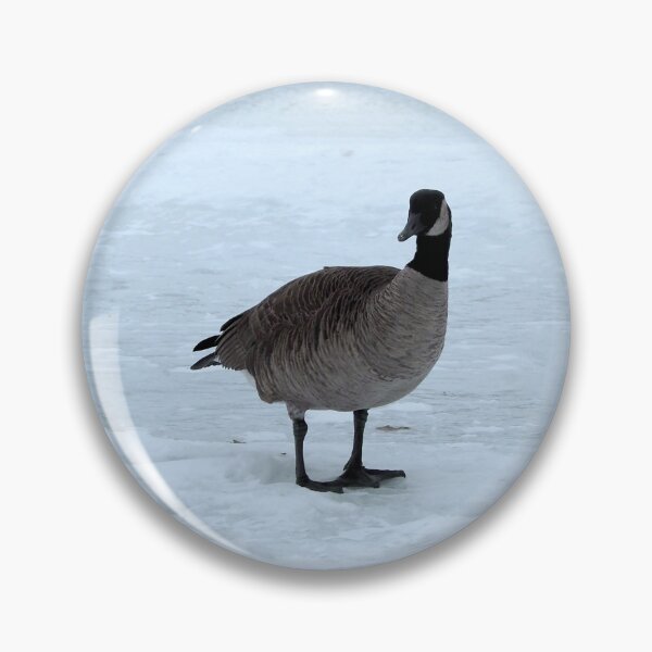 Item preview, Canada Goose Standing On The Snow - Wild Canada Goose Bird designed and sold by BackyardBirder.