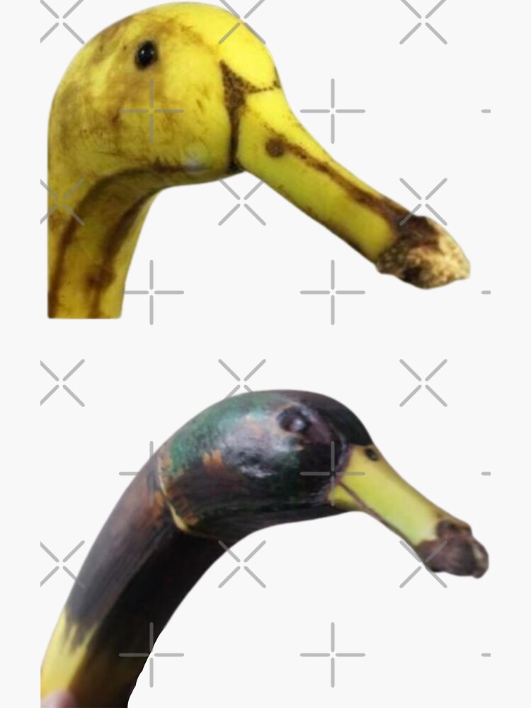 Two Banana Duck Funny Meme Sticker For Sale By Redakhatib Redbubble