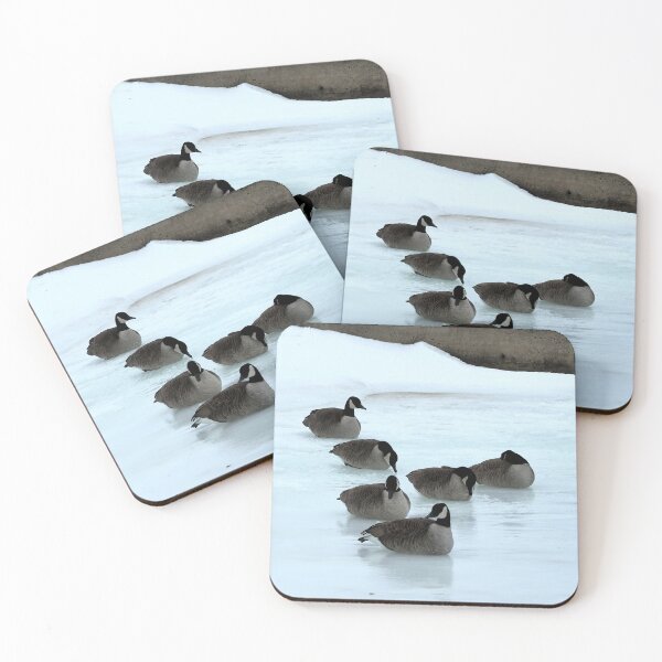 Item preview, Canadian Geese Flock Resting On The Snow - Wild Canada Goose Bird designed and sold by BackyardBirder.