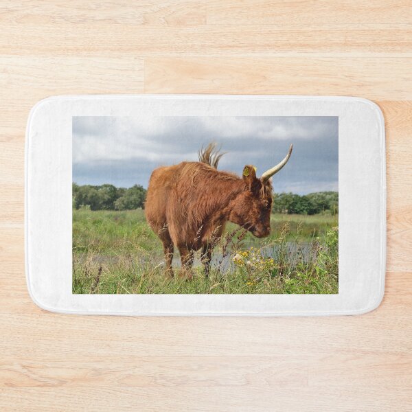 Item preview, Highlander cow designed and sold by Vanja Rosenthal.