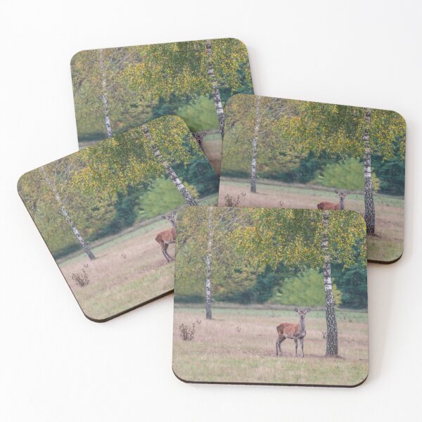 Item preview, Young deer grazing in a meadow in autumn designed and sold by AlbertMi.