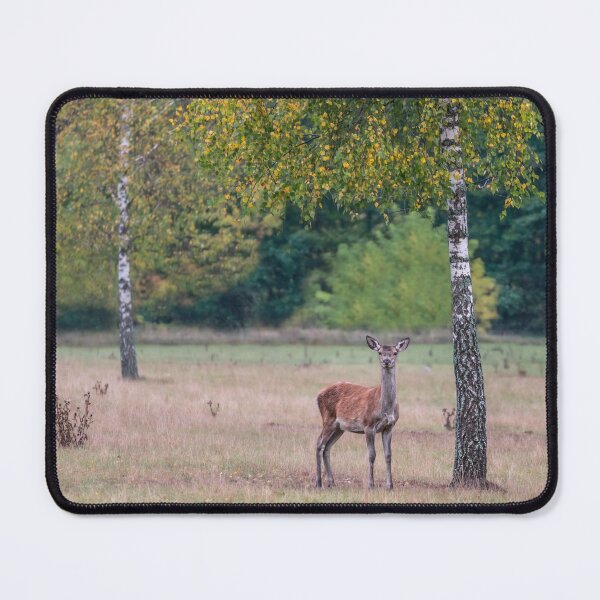 Item preview, Young deer grazing in a meadow in autumn designed and sold by AlbertMi.