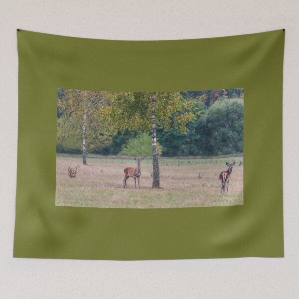 Item preview, Young deer grazing in a meadow in autumn designed and sold by AlbertMi.