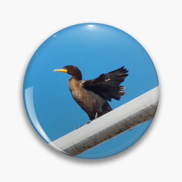 Item preview, Double-crested Cormorant Stretching On a Light Pole designed and sold by BackyardBirder.
