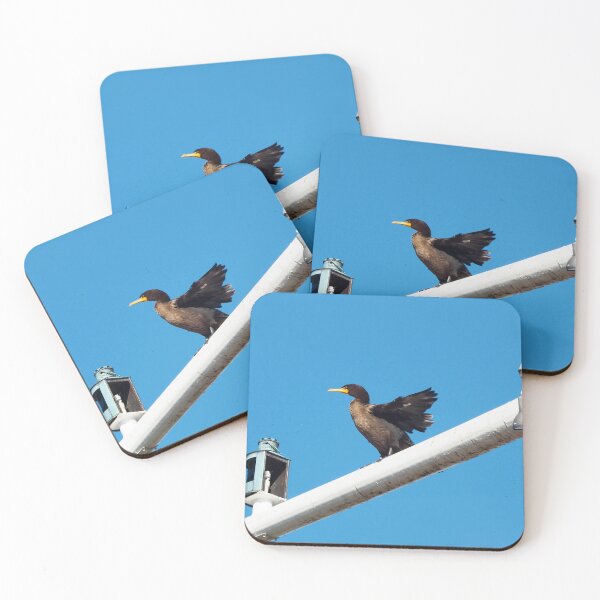 Item preview, Double-crested Cormorant Stretching On a Light Pole designed and sold by BackyardBirder.