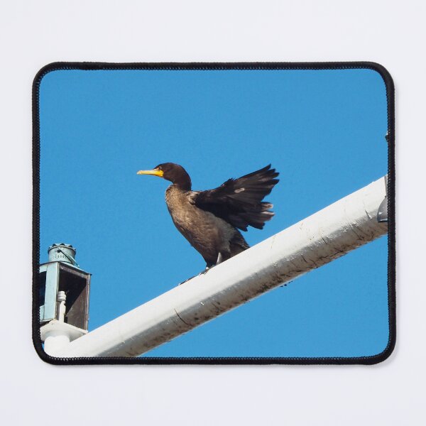 Item preview, Double-crested Cormorant Stretching On a Light Pole designed and sold by BackyardBirder.