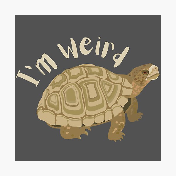 Item preview, turtle | box turtle | three toed box turtle | Valentine | Matching designed and sold by AlyCastelluccio.