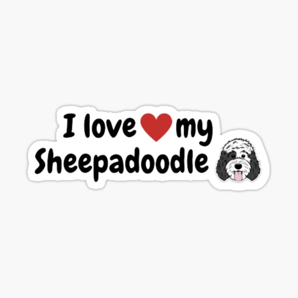 Shops i love sheepadoodle