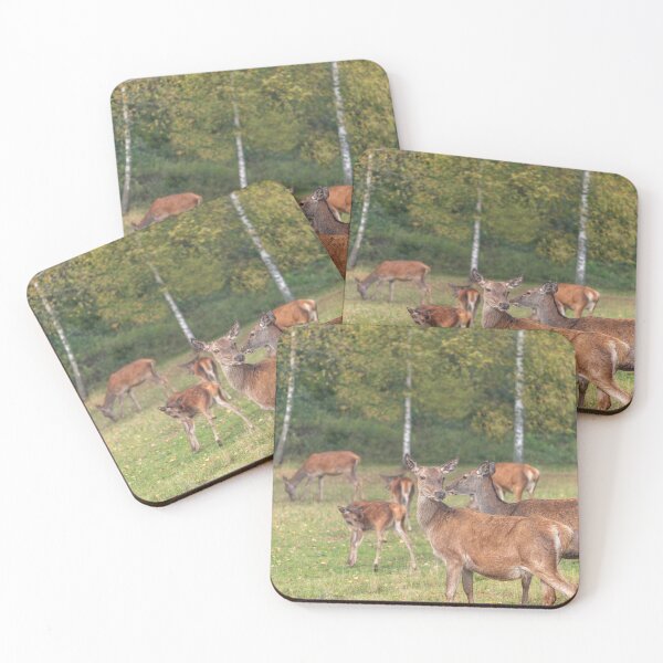 Item preview, Young deer grazing in a meadow in autumn designed and sold by AlbertMi.