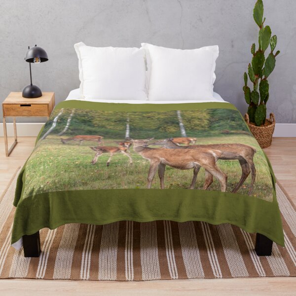 Item preview, Young deer grazing in a meadow in autumn designed and sold by AlbertMi.