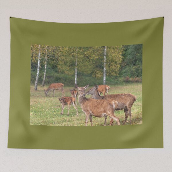 Item preview, Young deer grazing in a meadow in autumn designed and sold by AlbertMi.