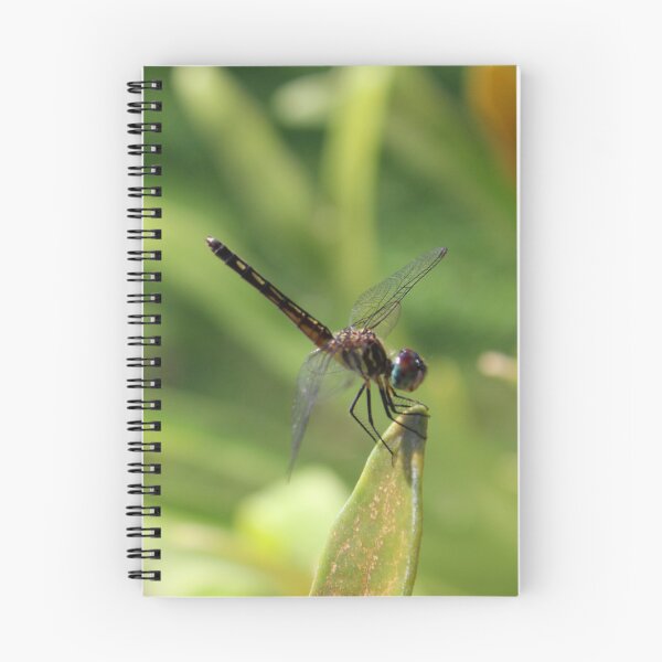 Item preview, Dragonfly  designed and sold by Jmb67.