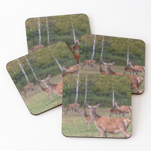 Item preview, Young deer grazing in a meadow in autumn designed and sold by AlbertMi.