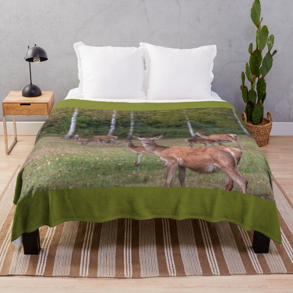 Item preview, Young deer grazing in a meadow in autumn designed and sold by AlbertMi.