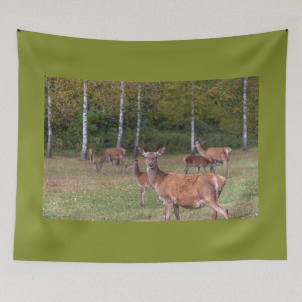 Item preview, Young deer grazing in a meadow in autumn designed and sold by AlbertMi.
