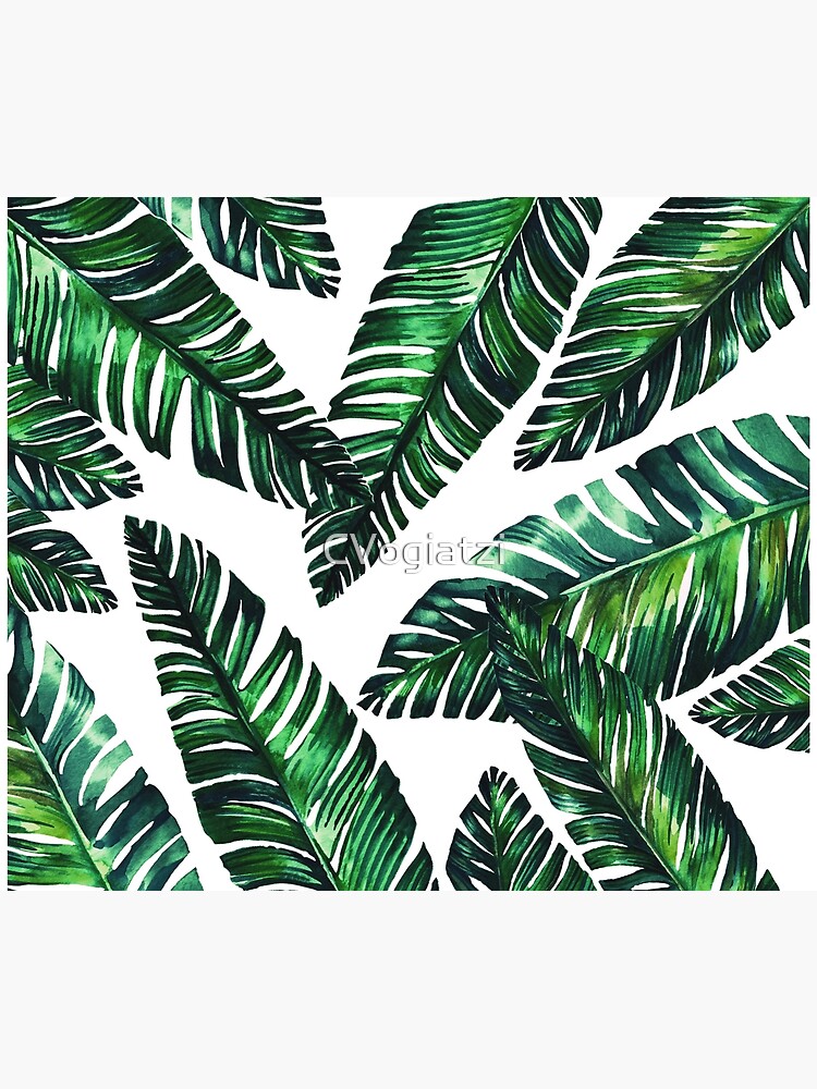Live tropical II by CVogiatzi