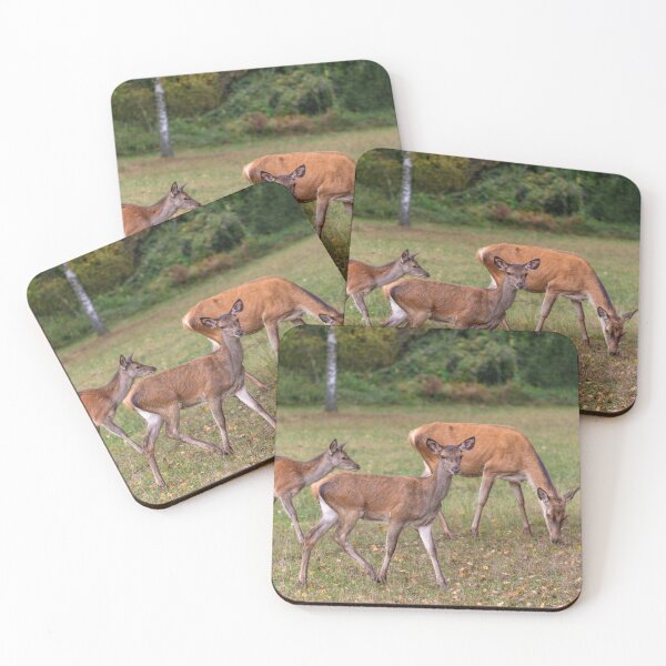 Item preview, Young deer grazing in a meadow in autumn designed and sold by AlbertMi.