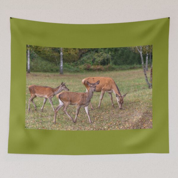 Item preview, Young deer grazing in a meadow in autumn designed and sold by AlbertMi.