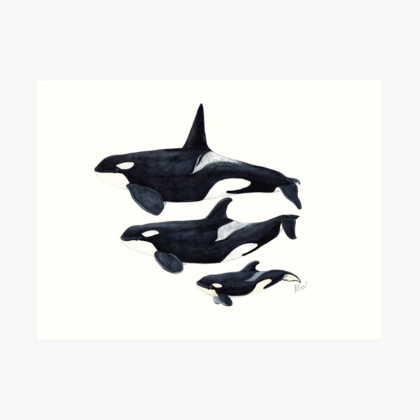 Orca Art Print
