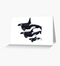 Orca Greeting Card