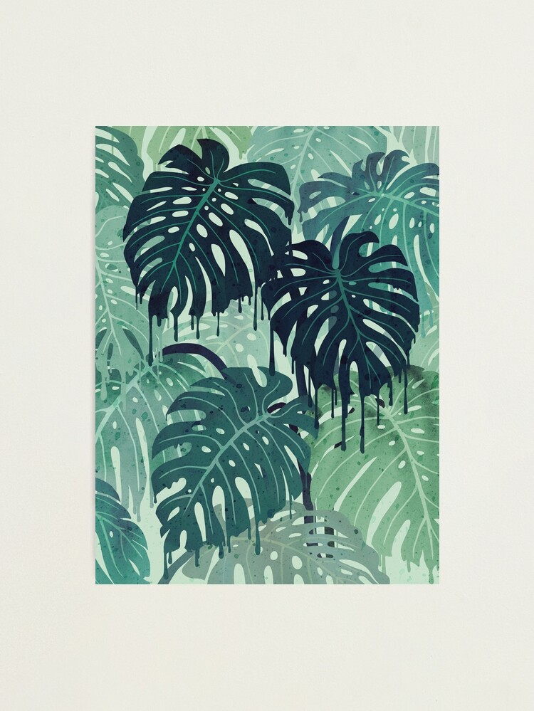 Alternate view of Monstera Melt (in Green) Photographic Print