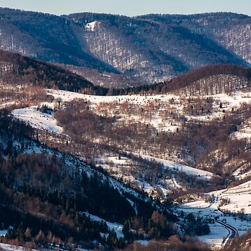 Artwork thumbnail, forest on hill in rural area in winter by mike-pellinni