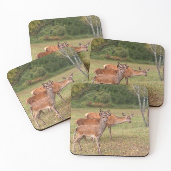 Item preview, Young deer grazing in a meadow in autumn designed and sold by AlbertMi.