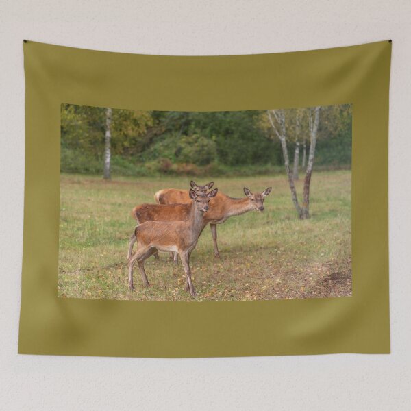 Item preview, Young deer grazing in a meadow in autumn designed and sold by AlbertMi.