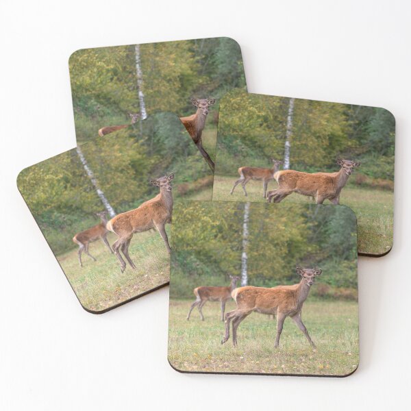 Item preview, Young deer grazing in a meadow in autumn designed and sold by AlbertMi.
