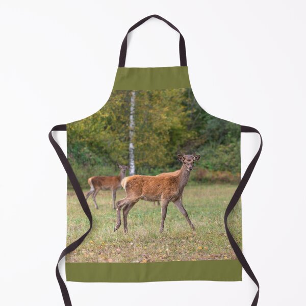 Item preview, Young deer grazing in a meadow in autumn designed and sold by AlbertMi.