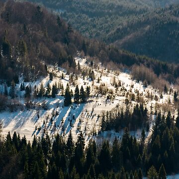 Artwork thumbnail, snow covered meadow among forest on hillside by mike-pellinni