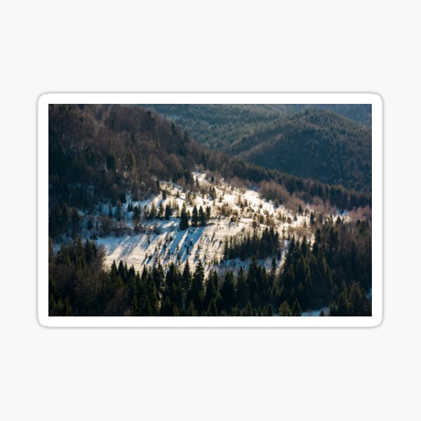snow covered meadow among forest on hillside Sticker
