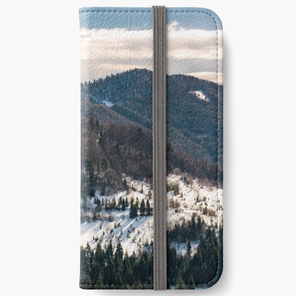 snow covered meadow among forest in mountains iPhone Wallet