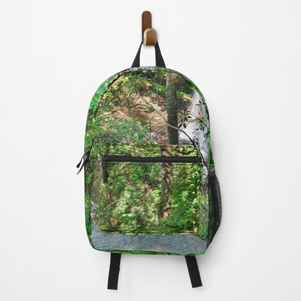 Item preview, Hidden Waterfall Below The Boulder designed and sold by LisaWootenPhoto.