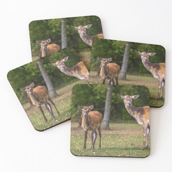 Item preview, Young deer grazing in a meadow in autumn designed and sold by AlbertMi.