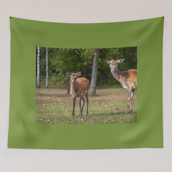 Item preview, Young deer grazing in a meadow in autumn designed and sold by AlbertMi.