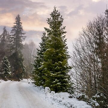 Artwork thumbnail, road through snowy forest on foggy morning by mike-pellinni