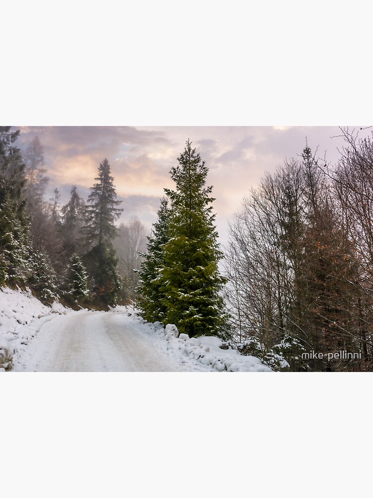 Thumbnail 3 of 3, Sticker, road through snowy forest on foggy morning designed and sold by mike-pellinni.