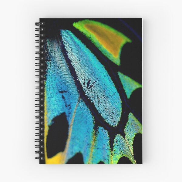 Item preview, Cairns Birdwing Detail II designed and sold by Didi Bingham.