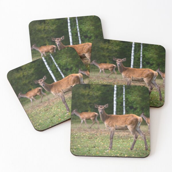 Item preview, Young deer grazing in a meadow in autumn designed and sold by AlbertMi.